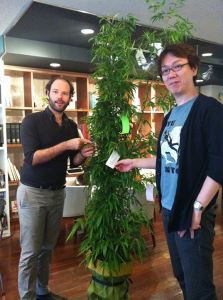 Grant & Kenichi